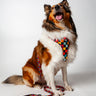 dog adjustable harness - arnés ajustable para perro_ wonderland1